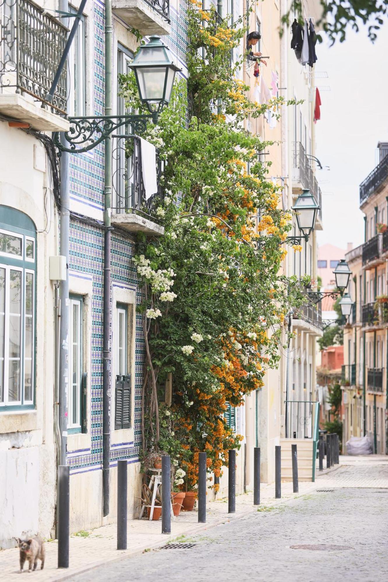 Bica Little House By Spoton Apartments Lisboa Δωμάτιο φωτογραφία